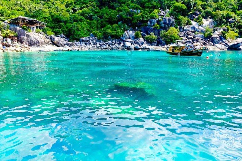 虫虫助手下载
